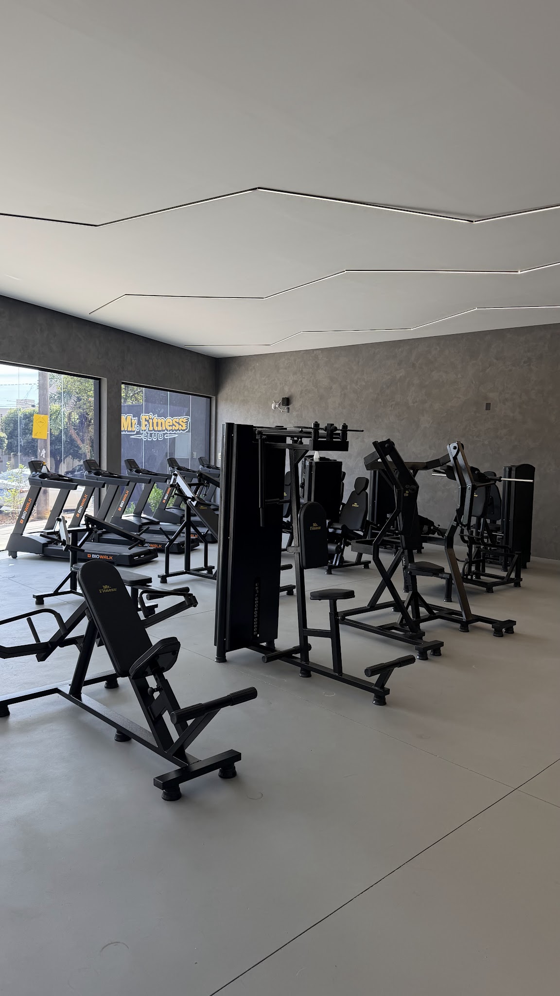 Musculação